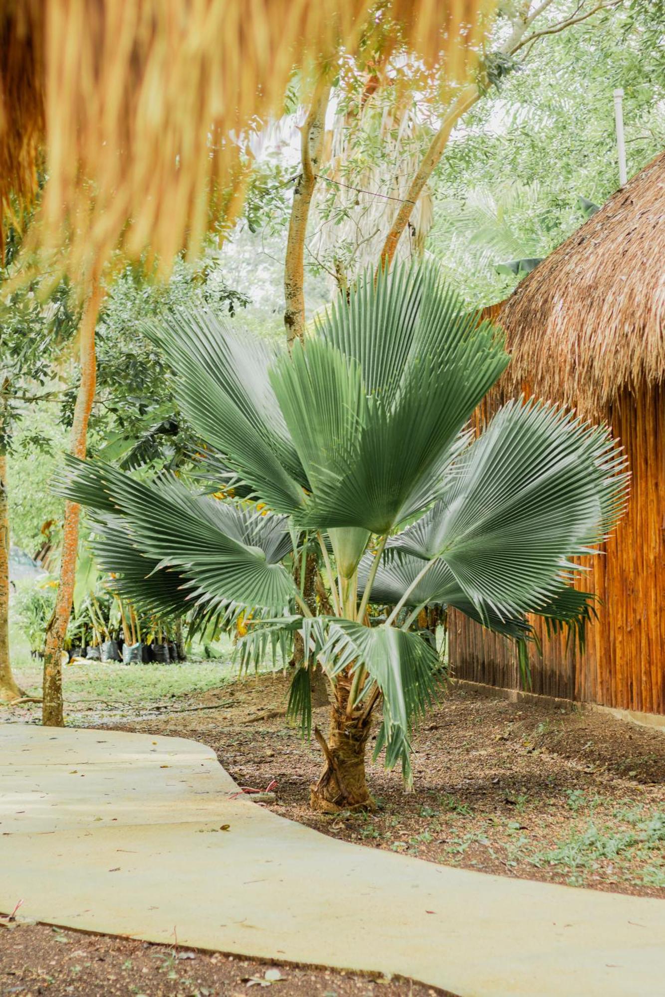 Mayan Playa Bacalar Exterior foto